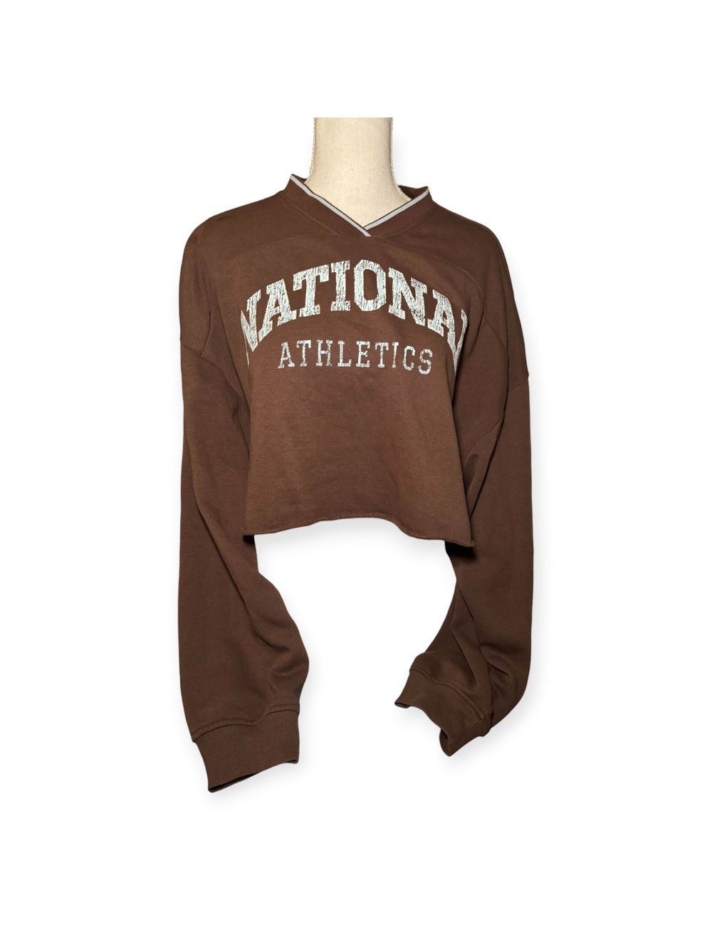 Divided Cropped Sweater Size Large Brown National Athletics H&M Raw Crop Top EUC